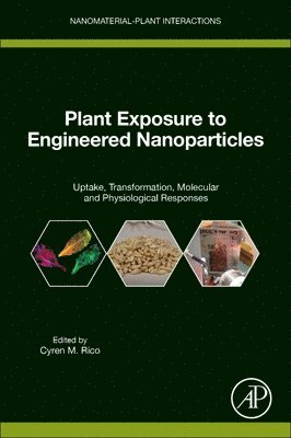 Cyren Rico - Plant Exposure to Engineered Nanoparticles, Häftad