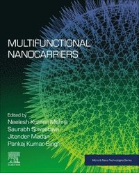 bokomslag Multifunctional Nanocarriers