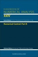 Emmanuel Tr�lat, Enrique Zuazua - Numerical Control: Part B, Inbunden