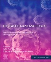 Ajay Kumar Mishra, Chaudhery Mustansar Hussain - Bio-Based Nanomaterials, Häftad
