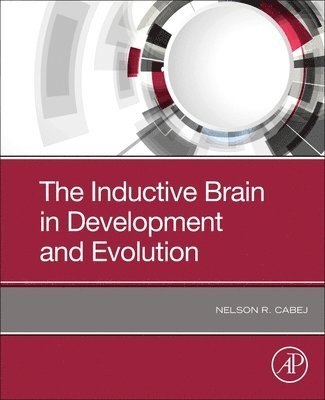 bokomslag The Inductive Brain in Development and Evolution