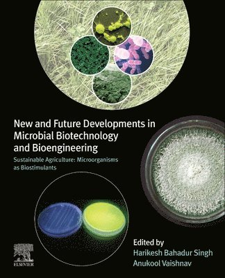 bokomslag New and Future Developments in Microbial Biotechnology and Bioengineering