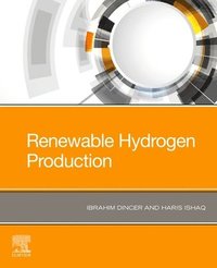 bokomslag Renewable Hydrogen Production