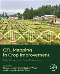 bokomslag QTL Mapping in Crop Improvement