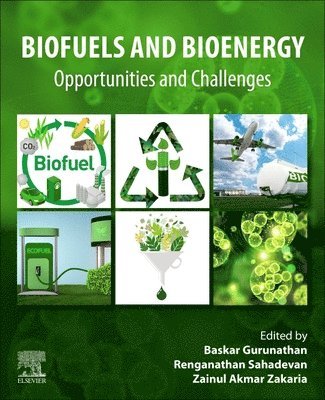 bokomslag Biofuels and Bioenergy