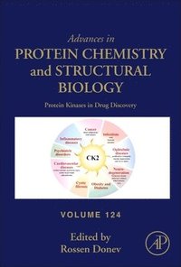 bokomslag Protein Kinases in Drug Discovery