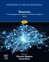 Giacinto Bagetta, Carlo Nucci - Glaucoma: A Neurodegenerative Disease of the Retina and Beyond Part B, Inbunden
