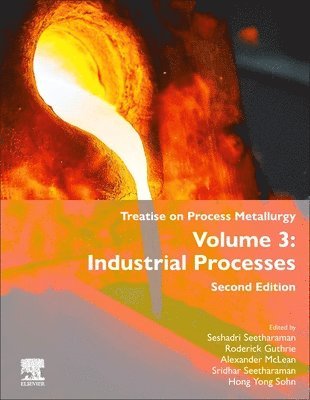 bokomslag Treatise on Process Metallurgy