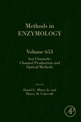 bokomslag Ion Channels: Channel Production and Optical Methods