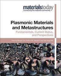 bokomslag Plasmonic Materials and Metastructures