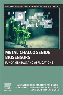 bokomslag Metal Chalcogenide Biosensors