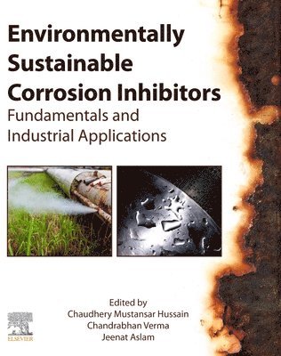 bokomslag Environmentally Sustainable Corrosion Inhibitors