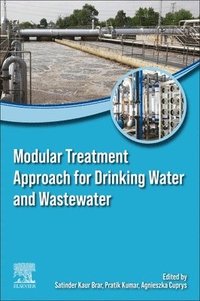 bokomslag Modular Treatment Approach for Drinking Water and Wastewater