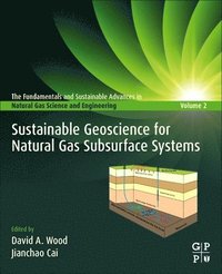 bokomslag Sustainable Geoscience for Natural Gas SubSurface Systems