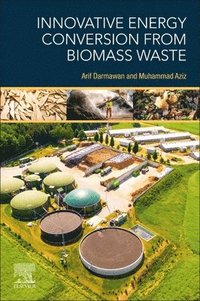 bokomslag Innovative Energy Conversion from Biomass Waste