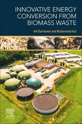 bokomslag Innovative Energy Conversion from Biomass Waste