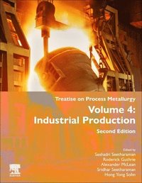 bokomslag Treatise on Process Metallurgy