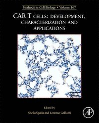 bokomslag MCB: CAR T Cells: Development, Characterization and Applications