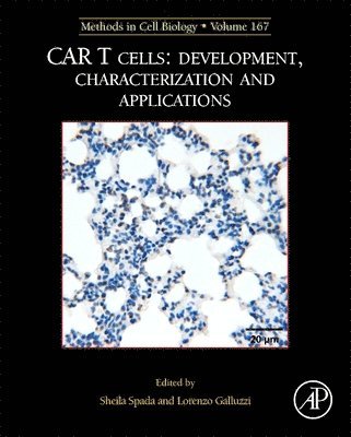 MCB: CAR T Cells: Development, Characterization and Applications 1