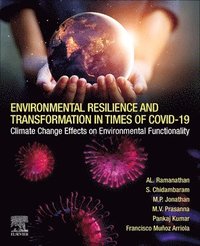 bokomslag Environmental Resilience and Transformation in times of COVID-19