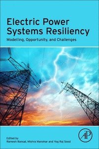 bokomslag Electric Power Systems Resiliency