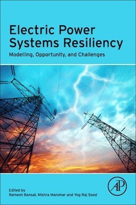 bokomslag Electric Power Systems Resiliency