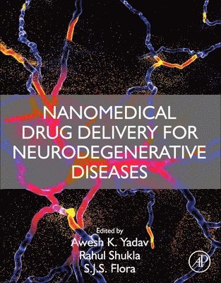 Nanomedical Drug Delivery for Neurodegenerative Diseases