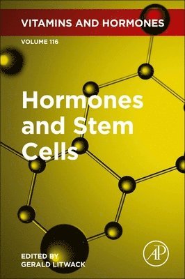 bokomslag Hormones and Stem Cells