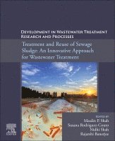Maulin P. Shah, Susana Rodriguez-Couto, Nidhi Shah, Rajarshi Banerjee - Development in Waste Water Treatment Research and Processes, Häftad