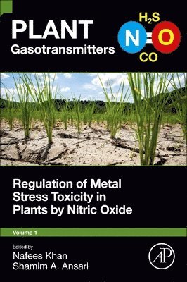 Nafees A. Khan, Shamim A Ansari - Regulation of Metal Stress Toxicity in Plants by Nitric Oxide, Häftad