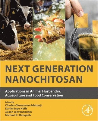 Next Generation Nanochitosan 1