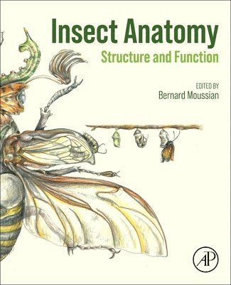 Insect Anatomy 1