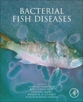 Gowhar Hamid Dar, Rouf Ahmad Bhat, Humaira Qadri, Khalid M. Al-Ghamdi, Khalid Rehman Hakeem - Bacterial Fish Diseases, Häftad
