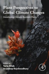 bokomslag Plant Perspectives to Global Climate Changes