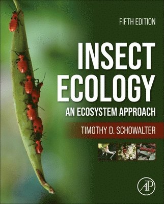 bokomslag Insect Ecology