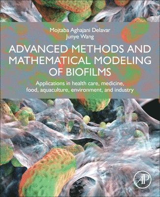 bokomslag Advanced Methods and Mathematical Modeling of Biofilms