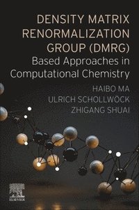 bokomslag Density Matrix Renormalization Group (DMRG)-based Approaches in Computational Chemistry