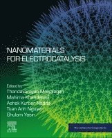 Thandavarayan Maiyalagan, Mahima Khandelwal, Ashok Kumar Nadda, Tuan Anh Nguyen, Ghulam Yasin - Nanomaterials for Electrocatalysis, Häftad