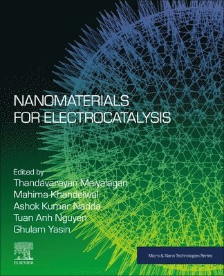Nanomaterials for Electrocatalysis 1