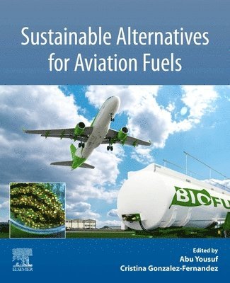 bokomslag Sustainable Alternatives for Aviation Fuels