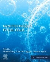 Huaihe Song, Tuan Anh Nguyen, Ghulam Yasin - Nanotechnology in Fuel Cells, Häftad