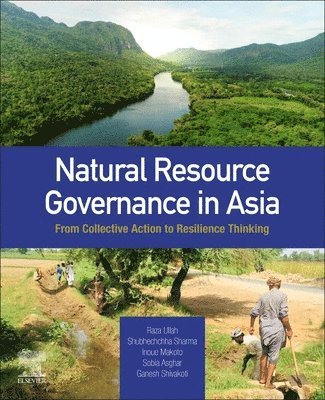 bokomslag Natural Resource Governance in Asia