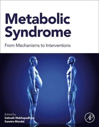 bokomslag Metabolic Syndrome