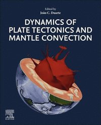 bokomslag Dynamics of Plate Tectonics and Mantle Convection