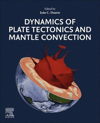 Joao C. Duarte, Portugal) Duarte, Joao C. (Associate Professor, University of Lisbon, Lisbon, Portugal; Researcher, Instituto Dom Luiz, Lisbon, Joao Duarte - Dynamics of Plate Tectonics and Mantle Convection, Häftad