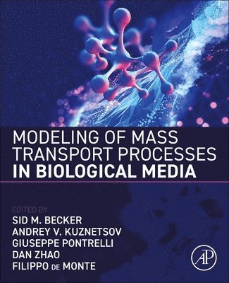 Sid M. Becker, Andrey V. Kuznetsov, Filippo de Monte, Giuseppe Pontrelli, Dan Zhao - Modeling of Mass Transport Processes in Biological Media, Häftad