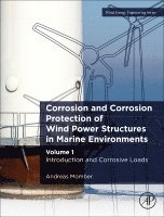 Andreas Momber, Germany) Momber, Andreas (Faculty of Geo-Resources and Materials Technology, University of Aachen - Corrosion and Corrosion Protection of Wind Power Structures in Marine Environments, Häftad