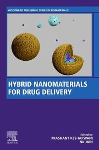 bokomslag Hybrid Nanomaterials for Drug Delivery