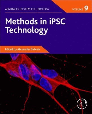 Alexander Birbrair, USA) Birbrair, Alexander (Department of Pathology, Federal University of Minas Gerais, Belo Horizonte, Minas Gerais, Brazil<br>Department of Radiology, Columbia University Medical Center, Medical Center - Methods in iPSC Technology, Häftad