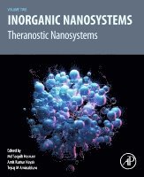 Md Saquib Hasnain, Amit Kumar Nayak, Tejraj M. Aminabhavi - Inorganic Nanosystems, Häftad
